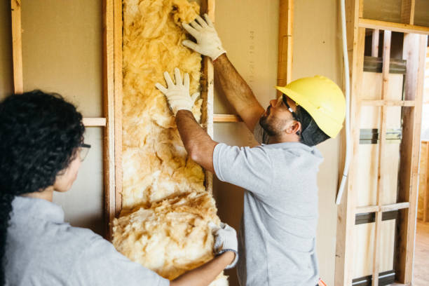 Best Blown-in Insulation  in Creston, IA